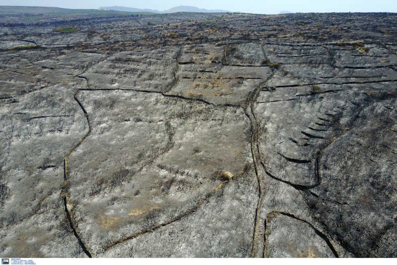 Η καταστροφή των Κυθήρων -Η φωτιά έκανε στάχτη 20.000 στρέμματα [εικόνες]  | iefimerida.gr 0