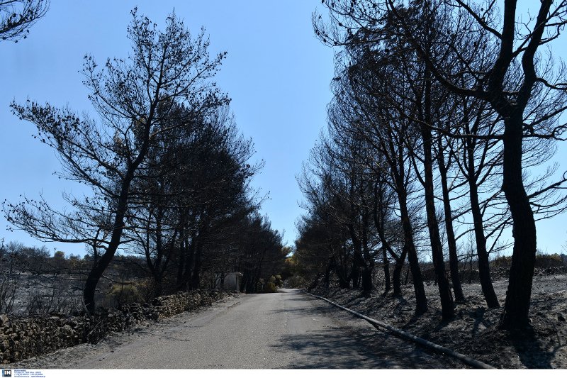 Η καταστροφή των Κυθήρων -Η φωτιά έκανε στάχτη 20.000 στρέμματα [εικόνες]  | iefimerida.gr 9