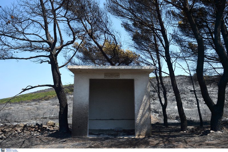 Η καταστροφή των Κυθήρων -Η φωτιά έκανε στάχτη 20.000 στρέμματα [εικόνες]  | iefimerida.gr 7