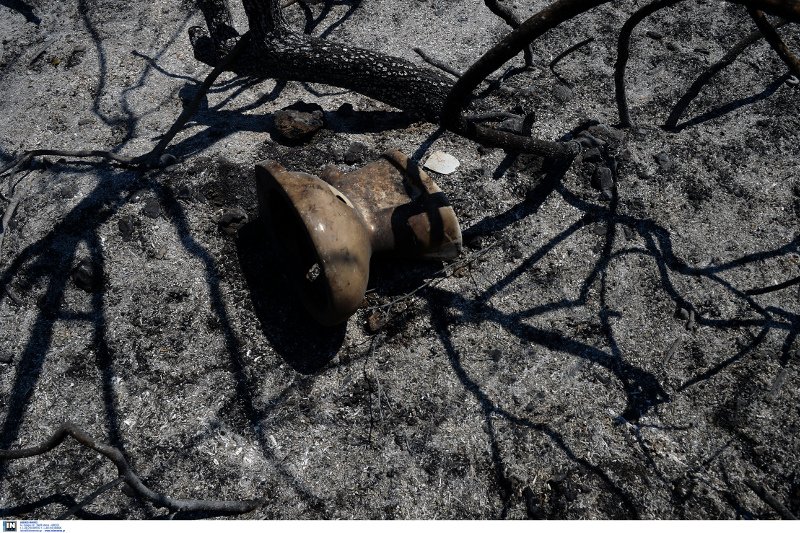 Η καταστροφή των Κυθήρων -Η φωτιά έκανε στάχτη 20.000 στρέμματα [εικόνες]  | iefimerida.gr 6