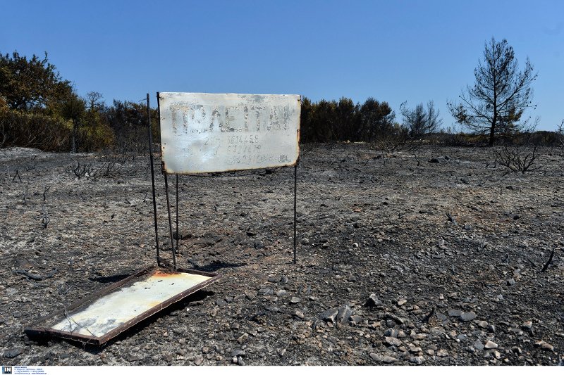 Η καταστροφή των Κυθήρων -Η φωτιά έκανε στάχτη 20.000 στρέμματα [εικόνες]  | iefimerida.gr 4