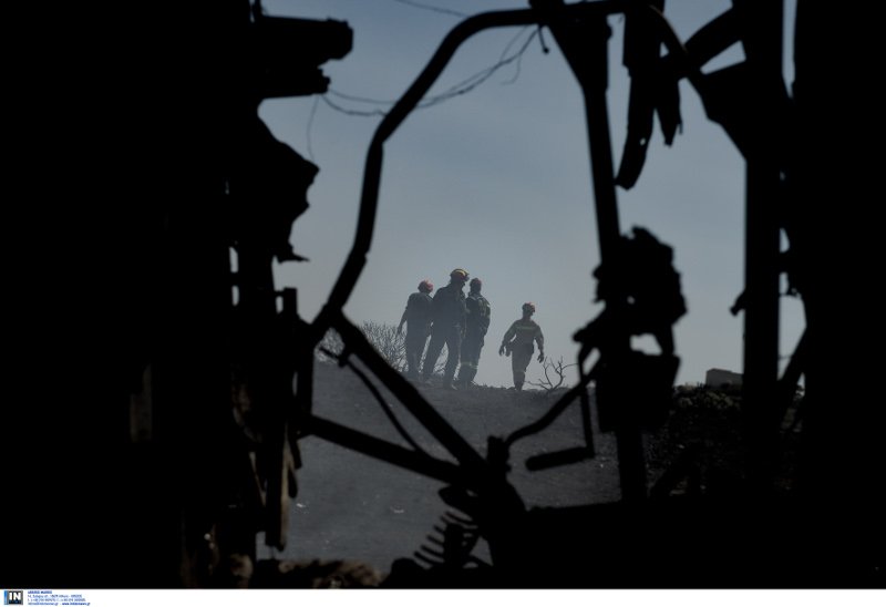 Υπό έλεγχο η φωτιά στη Λέσβο -Για εμπρησμό κάνει λόγο η Πυροσβεστική [εικόνες & βίντεο] | iefimerida.gr 11