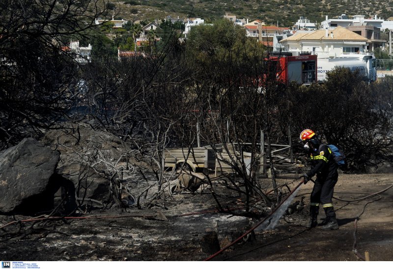 Υπό έλεγχο η φωτιά στη Λέσβο -Για εμπρησμό κάνει λόγο η Πυροσβεστική [εικόνες & βίντεο] | iefimerida.gr 6