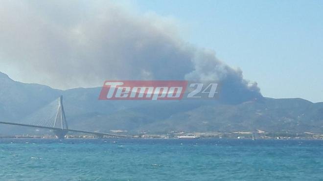 Ξέσπασε φωτιά στο Μολύκρειο Ναυπακτίας [εικόνες&βίντεο] | iefimerida.gr 0