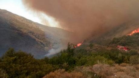 Ξέσπασε φωτιά στο Μολύκρειο Ναυπακτίας [εικόνες&βίντεο] | iefimerida.gr 2