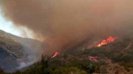 Ξέσπασε φωτιά στο Μολύκρειο Ναυπακτίας [εικόνες&βίντεο] | iefimerida.gr 1