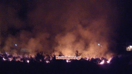 Mεγάλη φωτιά τα ξημερώματα στην Αρχαία Νεμέα -Δίπλα σε σπίτια και εκκλησία [εικόνες & βίντεο] | iefimerida.gr 0