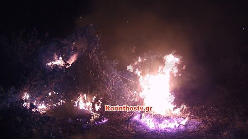 Mεγάλη φωτιά τα ξημερώματα στην Αρχαία Νεμέα -Δίπλα σε σπίτια και εκκλησία [εικόνες & βίντεο] | iefimerida.gr 2