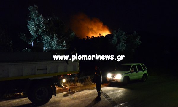 Υπό έλεγχο η φωτιά στη Λέσβο -Για εμπρησμό κάνει λόγο η Πυροσβεστική [εικόνες & βίντεο] | iefimerida.gr 0