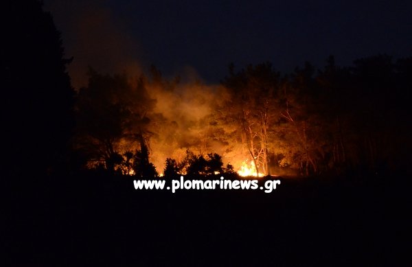 Υπό έλεγχο η φωτιά στη Λέσβο -Για εμπρησμό κάνει λόγο η Πυροσβεστική [εικόνες & βίντεο] | iefimerida.gr 1