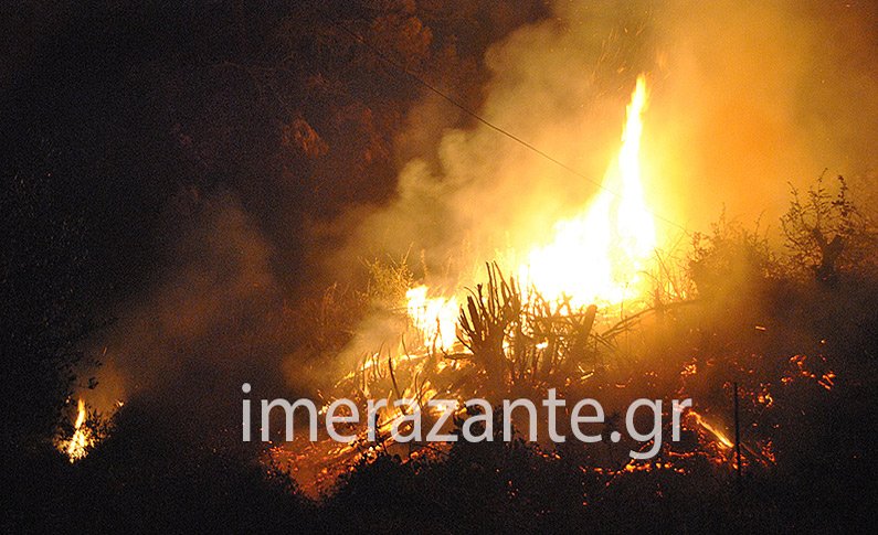 Νύχτα-κόλαση στη Ζάκυνθο: Η φωτιά κύκλωσε τις Μαριές | iefimerida.gr 10