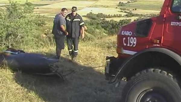 Πτολεμαϊδα: Πυροσβέστες απεγκλώβισαν ταύρο από χαράδρα βάθους 80 μέτρων! [εικόνες & βίντεο] | iefimerida.gr 1