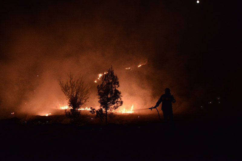 Μεγάλη πυρκαγιά στο Γαλάτσι, στις παρυφές του Αλσους Βεΐκου -Μάχη για να μη φτάσει σε οικίες [εικόνες] | iefimerida.gr 1