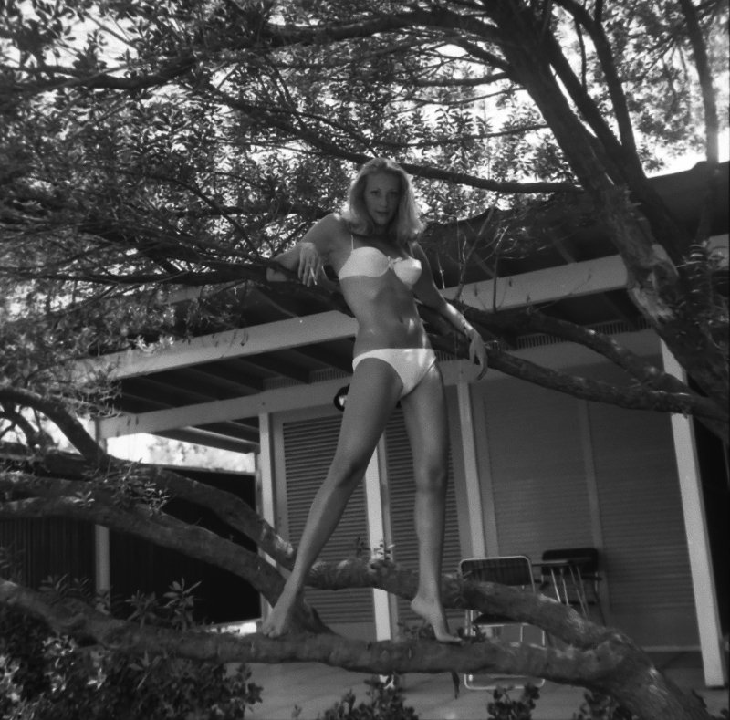 Το ασπρόμαυρο άλμπουμ της ζωής της Ζωής Λάσκαρη -Σπάνια καρέ, με τις κόρες της μωρά [εικόνες] | iefimerida.gr 8