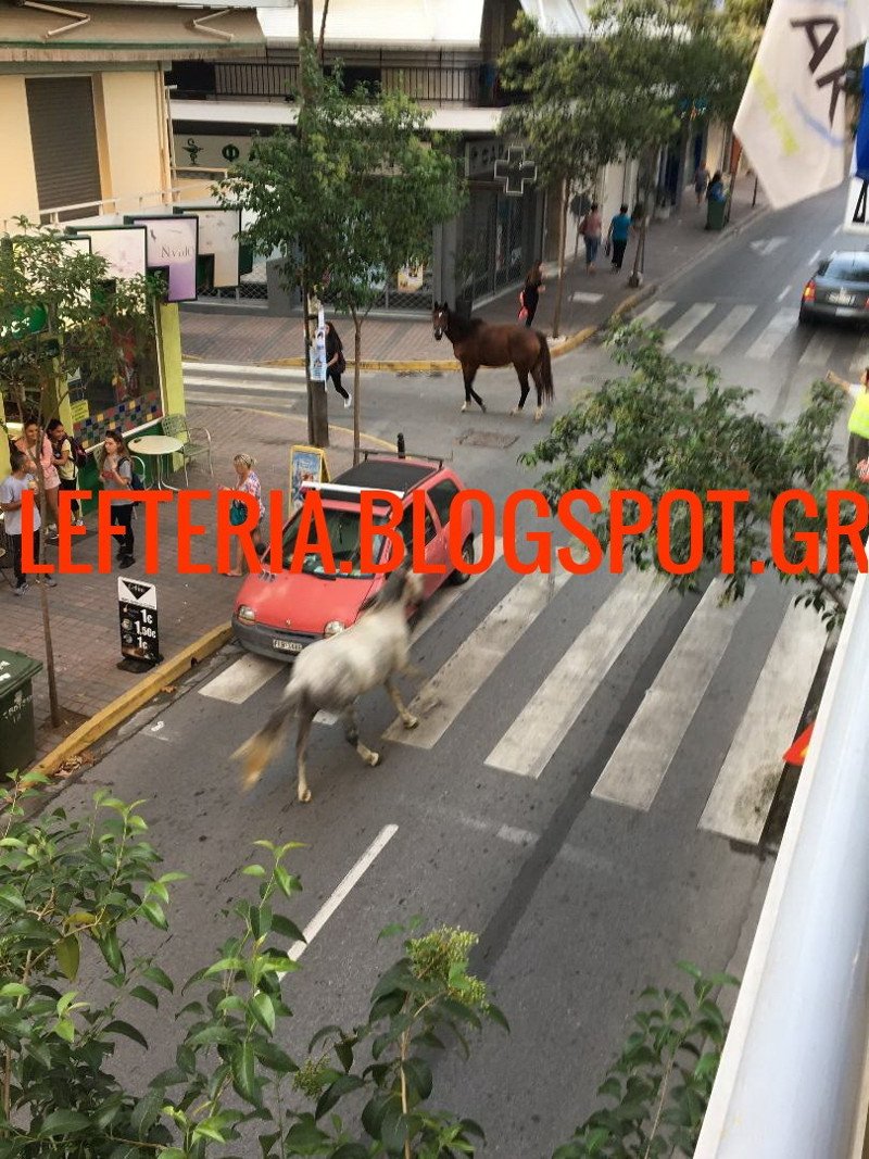 Αλογα βγήκαν... πρωινή βόλτα στην Κατερίνη [εικόνες] | iefimerida.gr 0