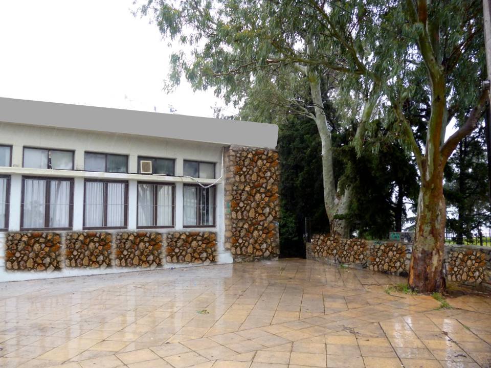 Το εκπληκτικό σπίτι της Ισιδώρα Ντάνκαν στον Βύρωνα -Η χορεύτρια με τις χλαμύδες [εικόνες] | iefimerida.gr 29