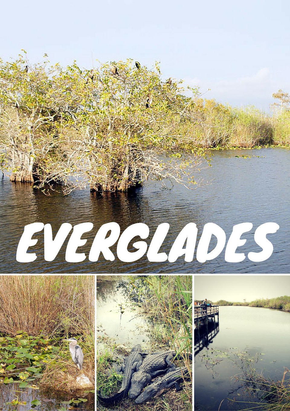 Φλόριντα, ένας τεχνητός παράδεισος που χτίστηκε σε εχθρικό έδαφος, με τυφώνες και έλη [εικόνες] | iefimerida.gr 3