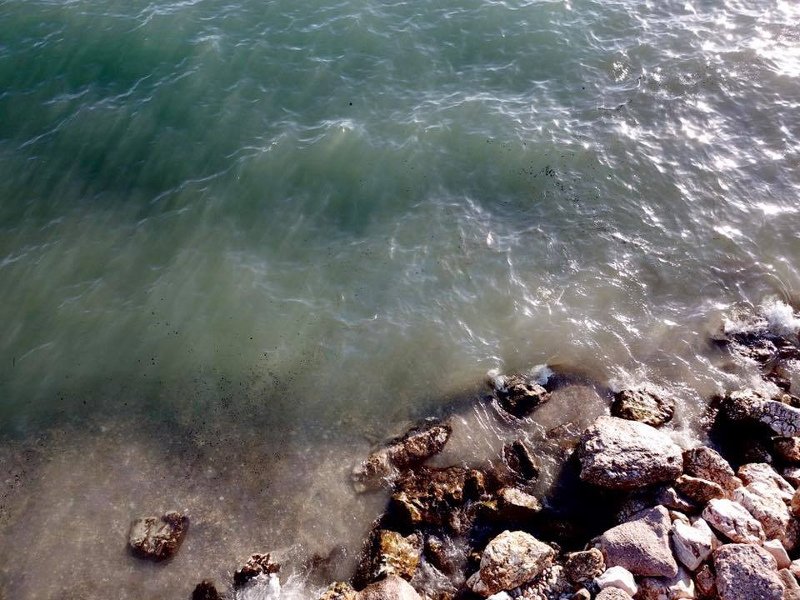 Εικόνες θλίψης στο Π. Φάληρο -Ολες οι παραλίες γεμάτες πίσσα [εικόνες & βίντεο] | iefimerida.gr 2