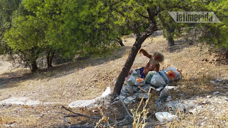 Αστεγοι σε τρώγλες και σπηλιές του Φιλοπάππου -«Καλύτερα εδώ, παρά στα παγκάκια» [εικόνες] | iefimerida.gr 4