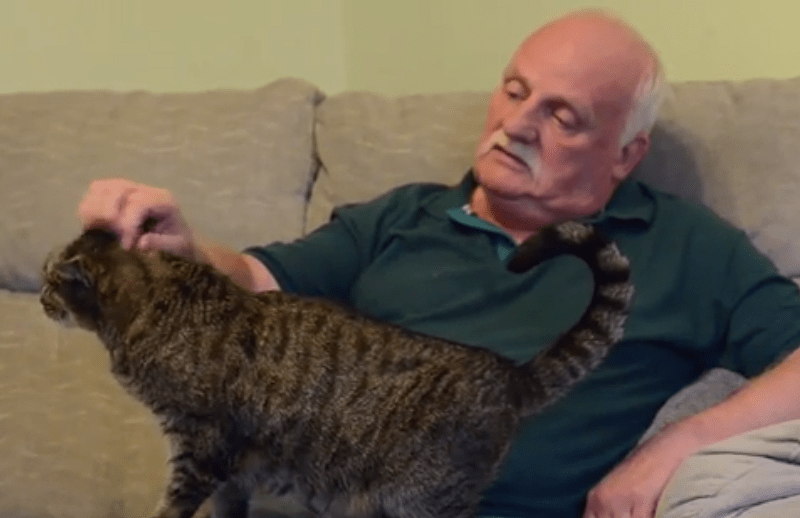 Πέθανε η γηραιότερη γάτα στον κόσμο -Ηταν 32 ετών... 144 γατίσια χρόνια [εικόνες & βίντεο] | iefimerida.gr 1