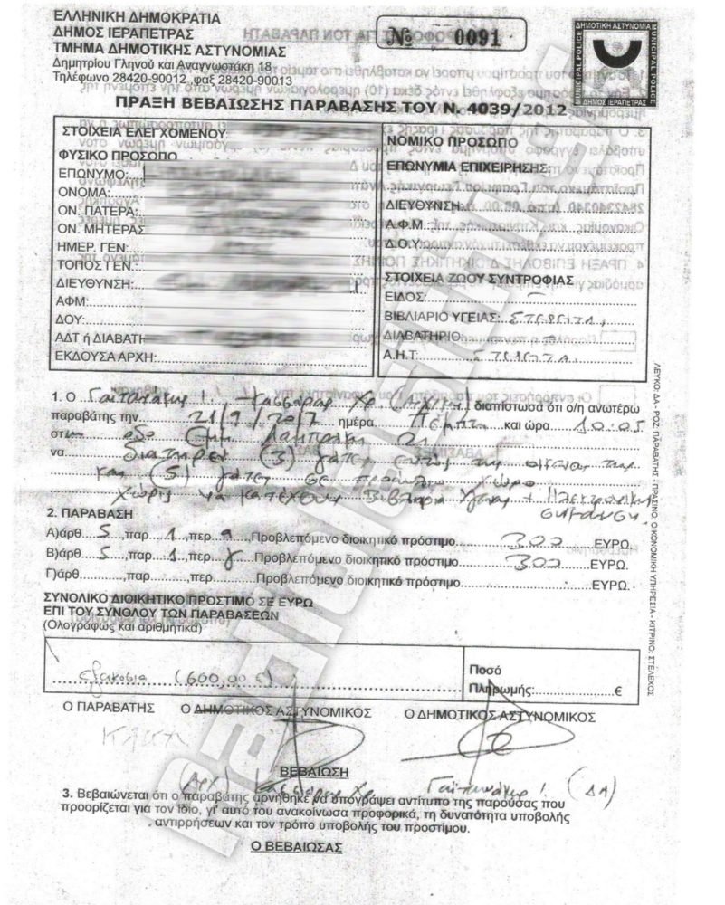 Κρήτη: 9χρονος μολύνθηκε από γάτες -600 ευρώ πρόστιμο σε ηλικιωμένη που τις φρόντιζε [εικόνες] | iefimerida.gr 0