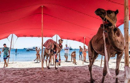 Ψινάκης δήμαρχος: Ζει σαν βαθύπλουτος και παριστάνει τον ΣΥΡΙΖΑ [εικόνες] | iefimerida.gr 5