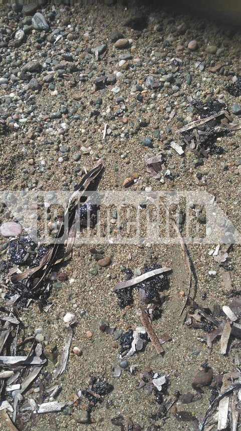 Ρύπανση στο Σαρωνικό: Κομμάτια μαζούτ σε μέγεθος βότσαλου έφτασαν στην Σαρωνίδα [εικόνα] | iefimerida.gr 0