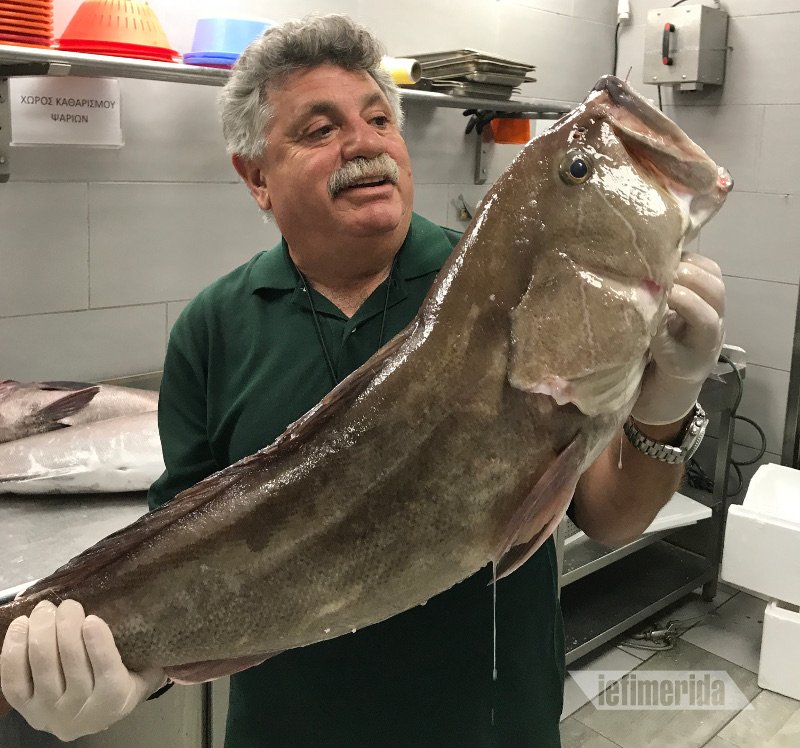 Ο σεφ Λευτέρης Λαζάρου στο iefimerida μετά την πετρελαιοκηλίδα: Ποια ψάρια δεν πρέπει με τίποτα να φάμε [εικόνες] | iefimerida.gr 0