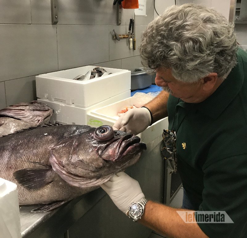 Ο σεφ Λευτέρης Λαζάρου στο iefimerida μετά την πετρελαιοκηλίδα: Ποια ψάρια δεν πρέπει με τίποτα να φάμε [εικόνες] | iefimerida.gr 3