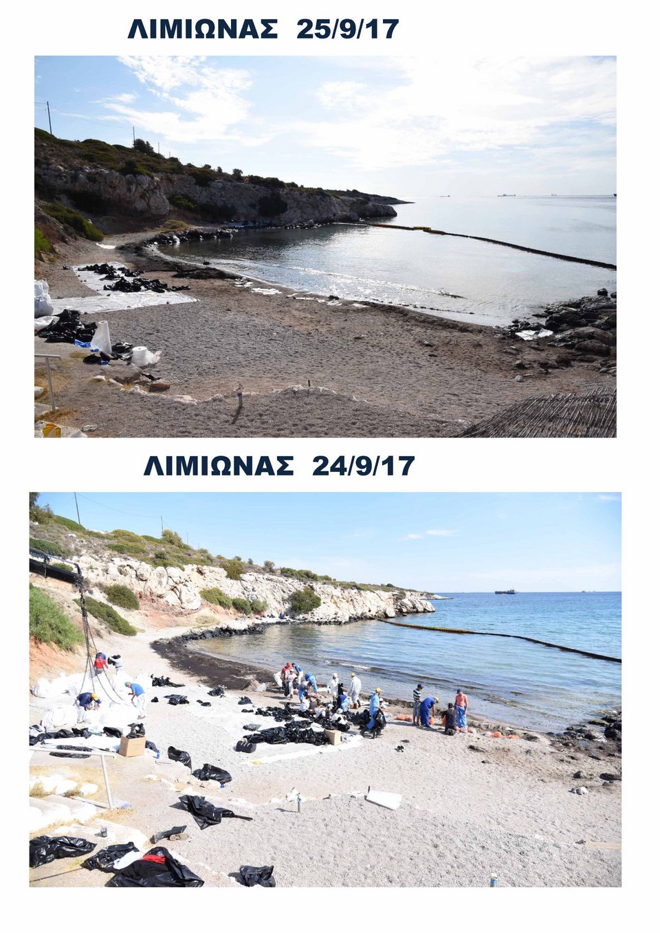 Υπ. Ναυτιλίας: Ποιες ακτές καθάρισαν στις θάλασσες του Σαρωνικού ως αυτή τη στιγμή [εικόνες] | iefimerida.gr 4