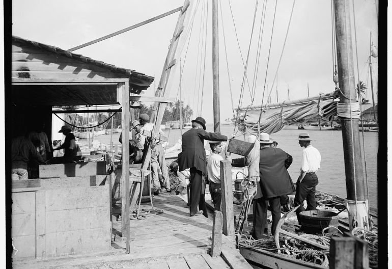 Φλόριντα, ένας τεχνητός παράδεισος που χτίστηκε σε εχθρικό έδαφος, με τυφώνες και έλη [εικόνες] | iefimerida.gr 4