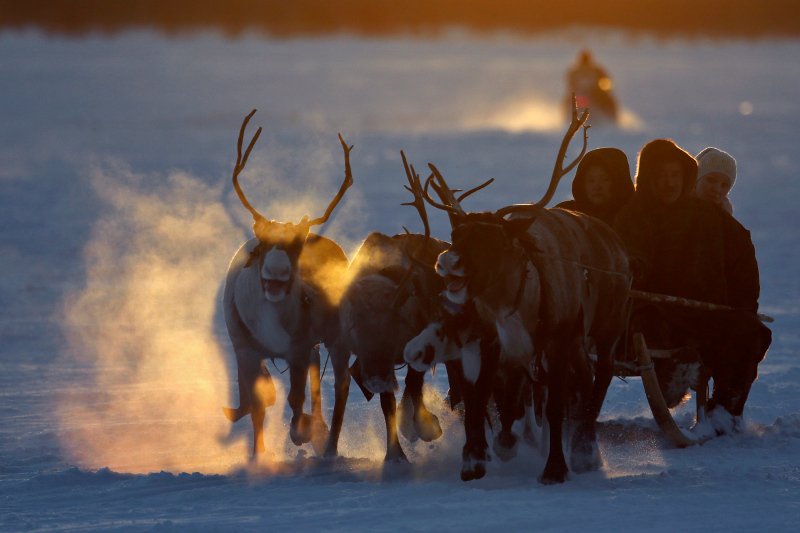 Στην κατάψυξη: Ετσι ζουν στη Σιβηρία, στους -45 για να επιβιώσουν -Πίνουν αίμα... [εικόνες & βίντεο] | iefimerida.gr 1