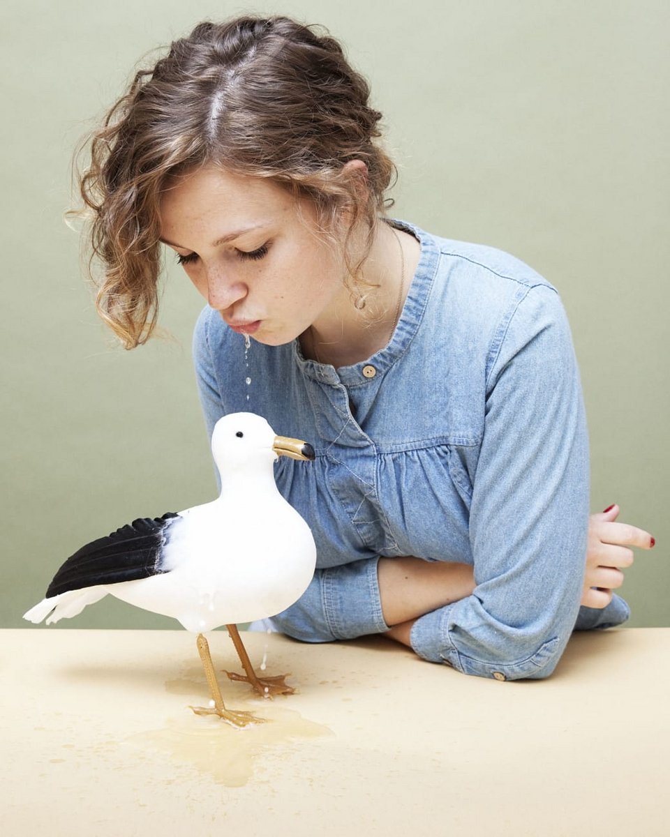 Οι 10 πιο παράλογοι νόμοι των ΗΠΑ -Για γέλια και για κλάματα [εικόνες] | iefimerida.gr 7