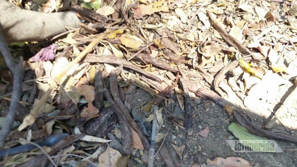 Πεδίον του Αρεως: Από πάρκο έγινε γκέτο -Διαμαρτυρία κατοίκων [εικόνες] | iefimerida.gr 2