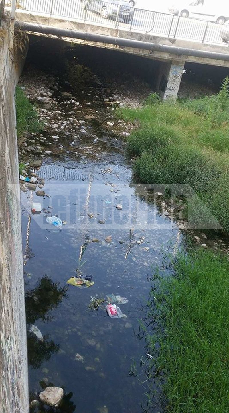 Το ρέμα της Πικροδάφνης στο Παλαιό Φάληρο γέμισε με εκατοντάδες νεκρά ψάρια [εικόνες] | iefimerida.gr 6