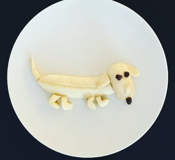 Ιδέες για να φάνε πιο εύκολα τα παιδιά, φρούτα και λαχανικά -Πώς θα φτιάξετε ζωάκια [εικόνες] | iefimerida.gr 0