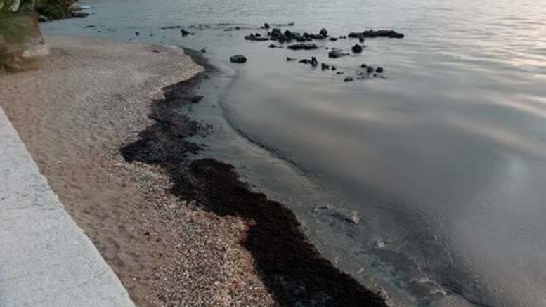 Εικόνες-σοκ: Θάλασσα πίσσας στη Σαλαμίνα μετά τη βύθιση του «Αγία Ζώνη» | iefimerida.gr 7