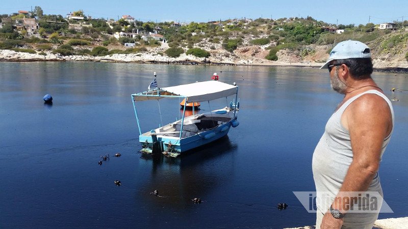 «Μαύρισε» η Σαλαμίνα -Ψαράς κοιτάζει τη βάρκα του και λυγίζει: Πώς θα ζήσω τώρα; [εικόνες] | iefimerida.gr 3