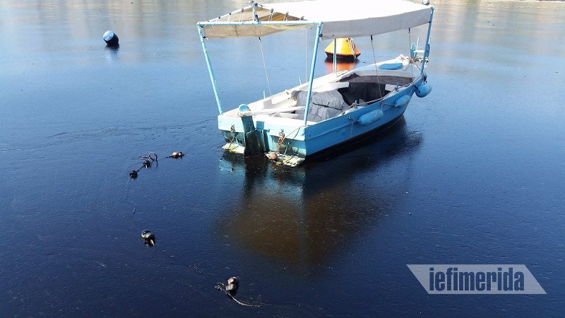«Μαύρισε» η Σαλαμίνα -Ψαράς κοιτάζει τη βάρκα του και λυγίζει: Πώς θα ζήσω τώρα; [εικόνες] | iefimerida.gr 4