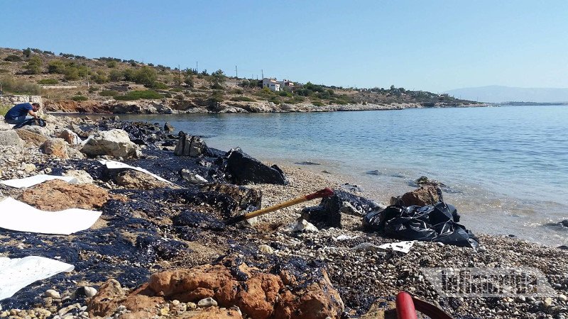 «Μαύρισε» η Σαλαμίνα -Ψαράς κοιτάζει τη βάρκα του και λυγίζει: Πώς θα ζήσω τώρα; [εικόνες] | iefimerida.gr 8