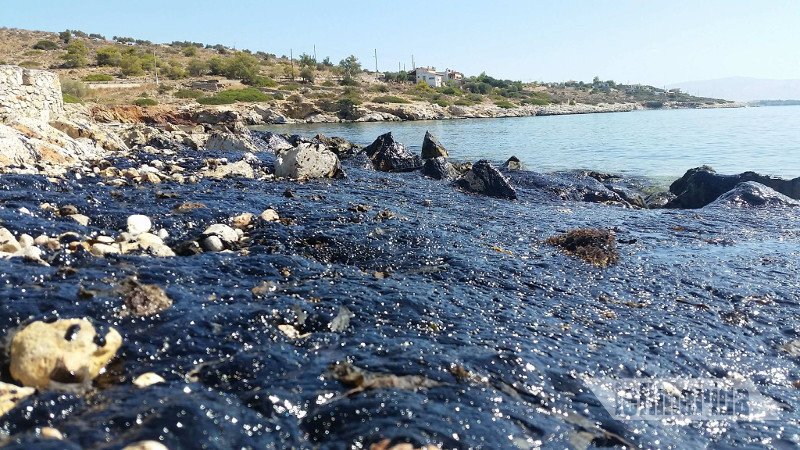 «Μαύρισε» η Σαλαμίνα -Ψαράς κοιτάζει τη βάρκα του και λυγίζει: Πώς θα ζήσω τώρα; [εικόνες] | iefimerida.gr 9