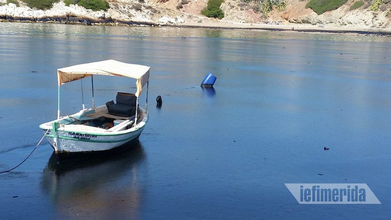 «Μαύρισε» η Σαλαμίνα -Ψαράς κοιτάζει τη βάρκα του και λυγίζει: Πώς θα ζήσω τώρα; [εικόνες] | iefimerida.gr 0