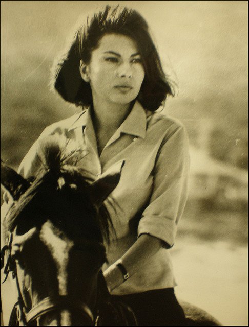 Πριγκίπισσα Σοράγια -Γιατί την έδιωξε ο Σάχης σε ηλικία 26 ετών [εικόνες] | iefimerida.gr 6