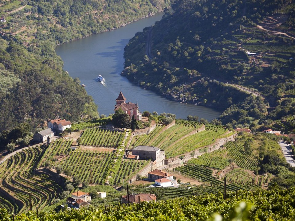 Αμερικανικό site βρήκε το καλύτερο σουβενίρ που μπορείς να αγοράσεις στην Ελλάδα [εικόνες] | iefimerida.gr 10