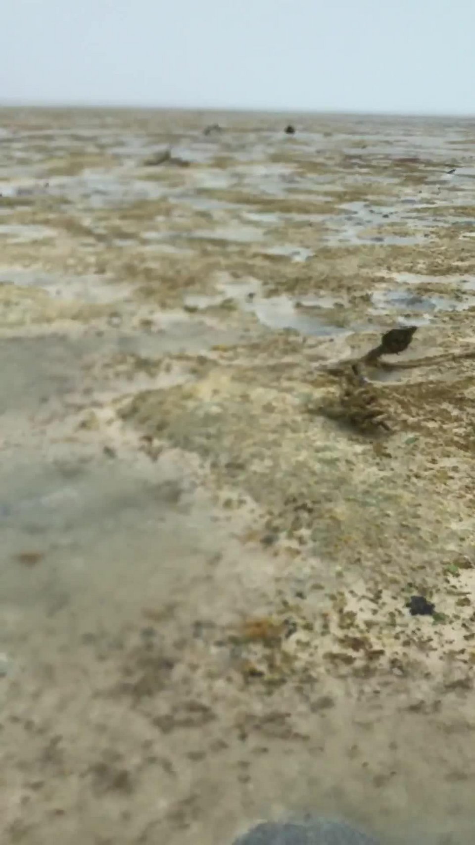 Γιατί ο τυφώνας Ιρμα «ρούφηξε» τη θάλασσα -Ενα τρομακτικό φαινόμενο [εικόνες &amp; βίντεο] | iefimerida.gr 4