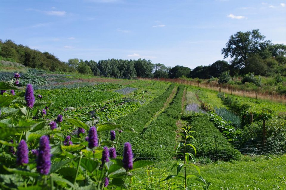 Το καλύτερο εστιατόριο στον κόσμο, σύμφωνα με το Tripadvisor -Αγγλική παμπ, σαν ζωγραφιά, στην εξοχή [εικόνες] | iefimerida.gr 11