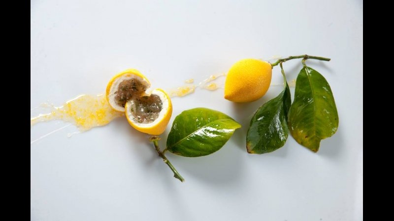 Αυτός εξελέγη ο καλύτερος ζαχαροπλάστης στον κόσμο -Κάνει πάστες-γλυπτά [εικόνες] | iefimerida.gr 4