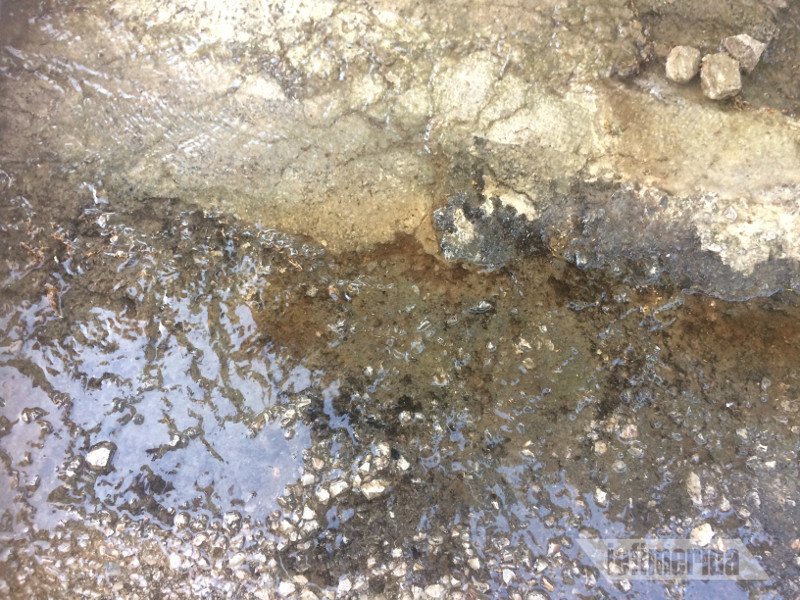 Σε αυτό το σημείο βρέθηκε νεκρή, με 14 μαχαιριές, η 32χρονη εφοριακός [εικόνες] | iefimerida.gr 1