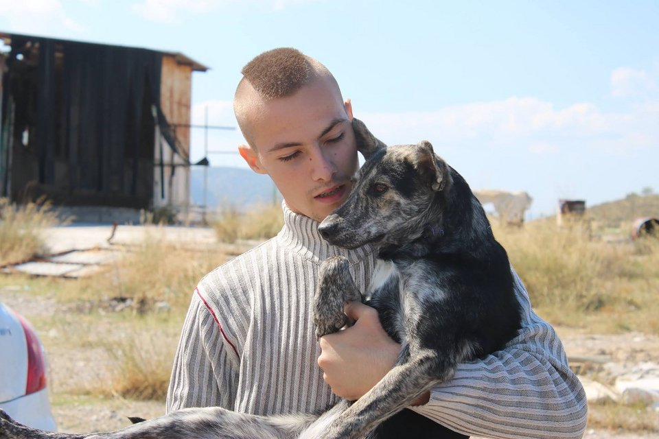 Greek Animal Rescue: Ιστορίες των αδέσποτων «Greekies» σε ένα φιλμ [εικόνες & βίντεο]  | iefimerida.gr 0