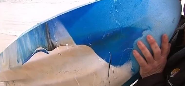 Αυστραλία: Πατέρας έσωσε την 15χρονη κόρη του από τα σαγόνια μεγάλου λευκού καρχαρία [βίντεο]  | iefimerida.gr 3